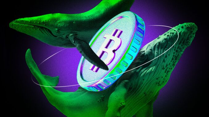 Crypto Whale Makes $1.2 Billion Bitcoin Bet on Hyperliquid Bitcoin Whale Doubles Down With $1.25 Billion Long Bet on Hyperliquid