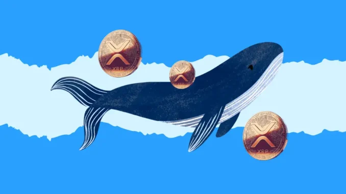 VivoPower Announces a $121M Private Funding to Become First XRP XRP Whales