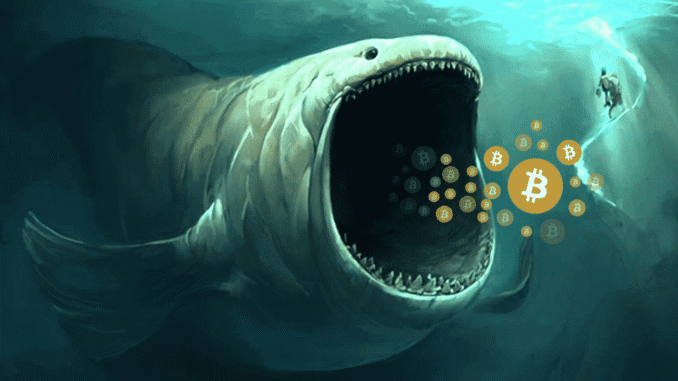 What Happened To The Bitcoin Whale Who Opened $1 Billion Bitcoin whales