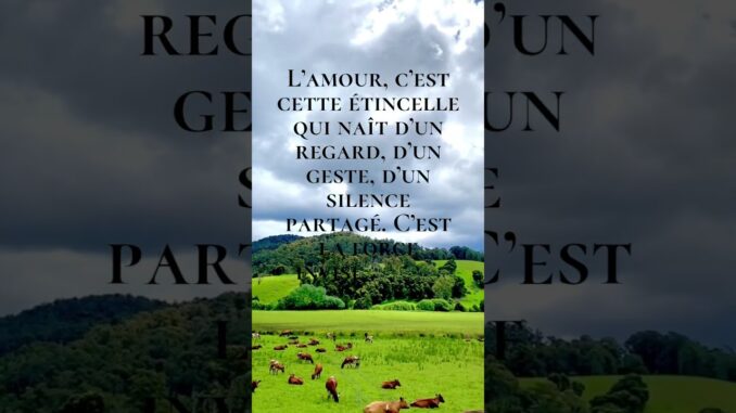 amour #ai #duet #news