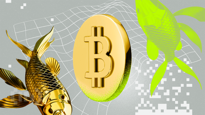 Bitcoin Slips, Gold Soars as Iran Threatens Retaliation Gold Surges While Bitcoin Slips as Iran Threatens Retaliation