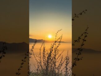 Don’t Ruin Today #music #rock #shorts #video #ai #news #sports #funny #cooking #cars #motivation