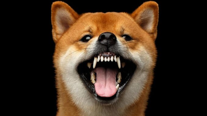 Dogecoin Replicates Bullish Wave From Nov 2024 — Why Price Dogecoin