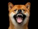 Dogecoin