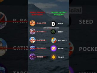 Focus On Target Projects #crypto #cryptotrading #cryptocurrency #bitcoin #bitcointrading #memecrypto