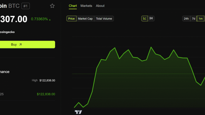 Bitcoin (BTC) Price Performance