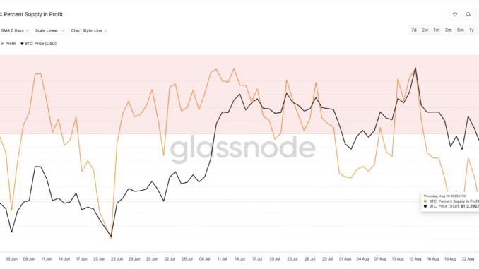 Bitcoin Price Eyes Rebound After HODLers Flash Month-High Bullish Signal Bitcoin Price And Supply In Profit: