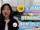 Top Bull Market Strategy: Stake ANDY Coin Project – Crypto Farming Guide