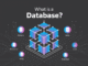What is a Database? Modern Database Types, Examples, and Applications (2025)