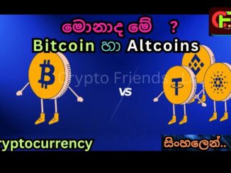 Bitcoin vs Altcoins | Full Comparison in Sinhala Crypto Beginners Guide සිංහලෙන්  නවකයින්ට  මුල සිට