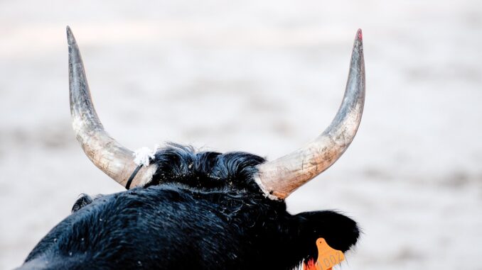 Fed Chair Choice May Be Bitcoin’s Biggest Bull Trigger, CEO Bitcoin