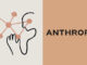 Anthropic and Deloitte Expand AI Partnership with Claude Deployment