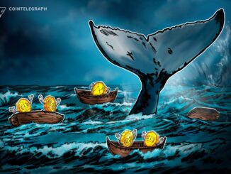 Do Bitcoin Whales Really Control Market Ups and Downs?