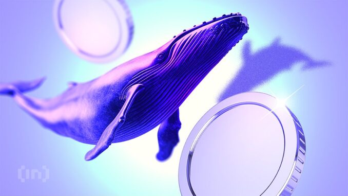 How Crypto Whales Played Trump’s Tariff-Induced Volatility How Crypto Whales Played Trump’s Tariff-Induced Volatility