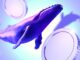 How Crypto Whales Played Trump’s Tariff-Induced Volatility