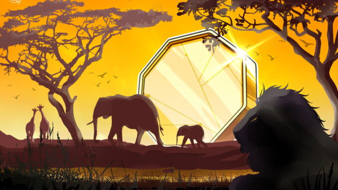 South Africans Can Now Pay With Crypto at 650,000 Stores South Africans Can Now Pay With Crypto at 650,000 Stores