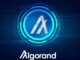Algorand (ALGO) Ecosystem Sees User Growth Amid DeFi Decline in October 2025