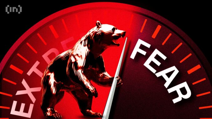 Bear Market or Bottom Forming?