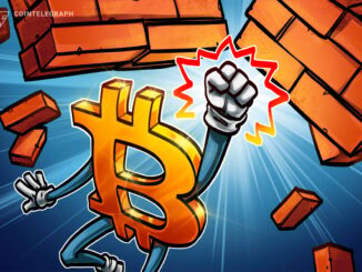 Bitcoin Power Law Signals Markets Are Poised for Massive Rally: Analyst
