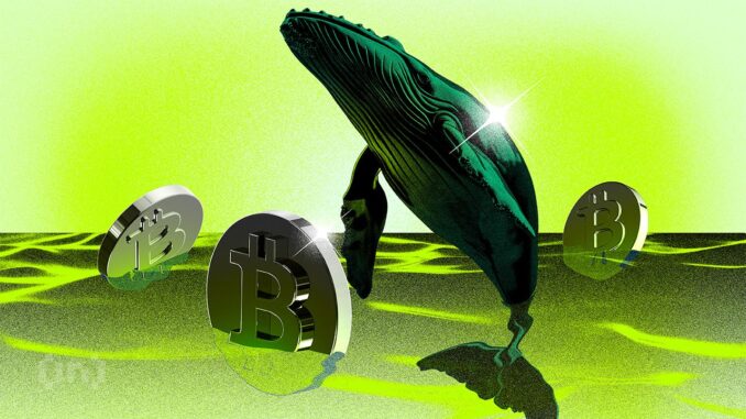 Bitcoin Whales Move Again, What Are They Seeing That We Don’t?