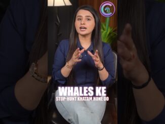 Crypto News Ka Scam! Market Opposite Direction Me Kyu Jata Hai?