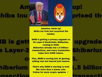 Shiba inu Breking News For USA 😯 Crypto News today bitcoin update today #shorts