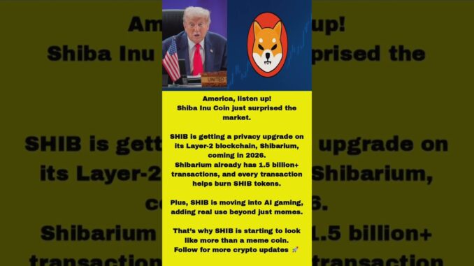 Shiba inu Breking News For USA 😯 Crypto News today bitcoin update today #shorts