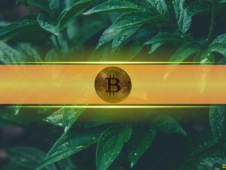 Bitcoin Poised for Short-Term Rally as Price Dips Below $101K Miner Cost, Says Analyst