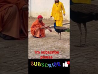 CM Yogi Adityanath ji #yogilive #news #tranding #shorts #ai #shortsfeed