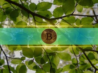 Could More Geopolitical Tension Drive BTC Back to Six Figures? 