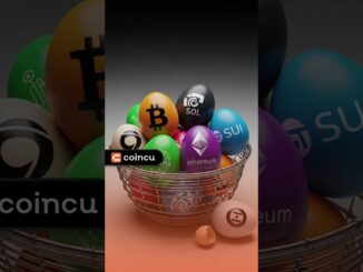 🔥 Crypto Daily News: SUI Network Down – $1B Locked! SOL Reacts?