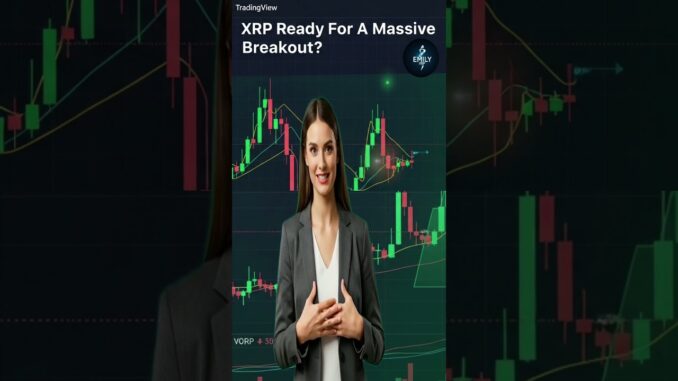 XRP Ready For A Massive Breakout? #cryptonews #broadripple #xrp #cryptocurrency #crypto #ripple