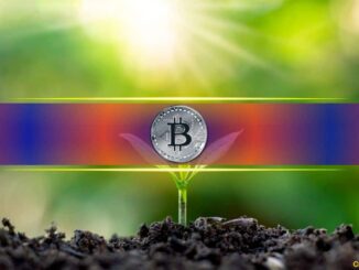 5 Key On-Chain Signals to Watch With Bitcoin at Fair Value