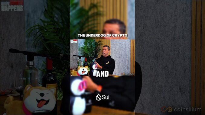 The Underdog of Crypto#crypto #sui #raoulpal #cryptocurrency #cryptonews #usa #canada #unitedkingdom