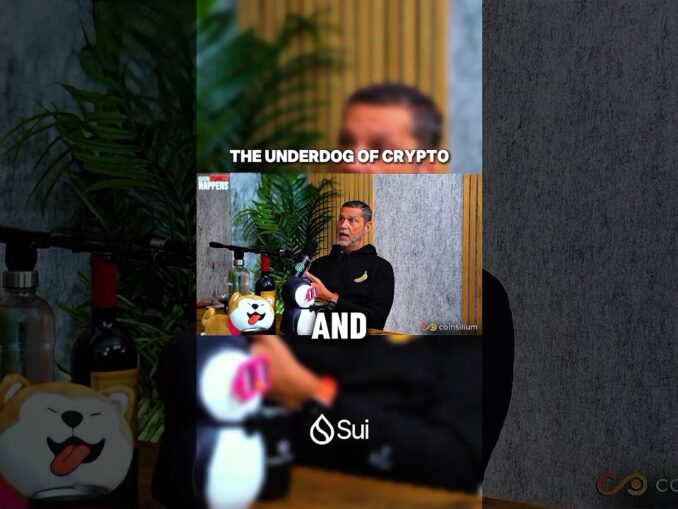 The Underdog of Crypto#crypto #sui #raoulpal #cryptocurrency #cryptonews #usa #canada #unitedkingdom