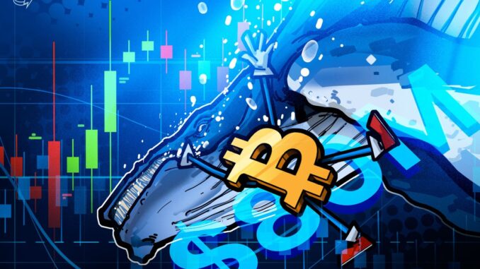 $80M Hyperliquid Whale Bet Predicts Bitcoin Crash and Oil Rally