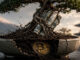 Bitcoin faces Treasury yield pressure as Japan sells nearly $30 billion of US debt