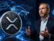 What Makes XRP Unique? Ripple CEO Explains