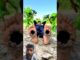 Allah Tala ke madad#ytshorts #news #prayer #today #ai #emotional