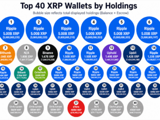 55.84 Billion XRP Appears Across the Top 40 Wallets, but Escrow Changes the Picture