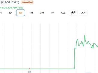 This Trader Sold His CASHCAT for $711 Instead of Retiring: Here's the Math