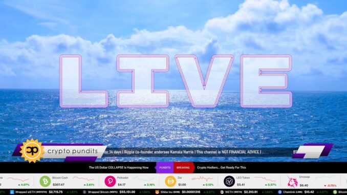 LIVE Crypto & Bitcoin Price, Market News & Influencers | Crypto Pundits