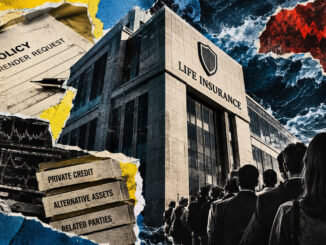The next shadow-banking problem comes from insurance companies, where nobody was looking for a bank run
