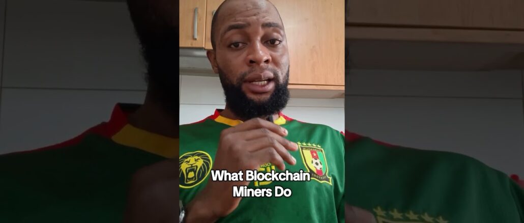 What Blockchain Miners Do