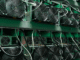 Bitcoin Miners Pocket $1B in August, but Halving Pain Still Lingers