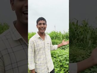 #ai #news #vairalvideo #aivideo #news #bhojpuri #viral #live #subscribe #myvideo #music #viralworld