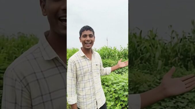 #ai #news #vairalvideo #aivideo #news #bhojpuri #viral #live #subscribe #myvideo #music #viralworld