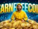 Free Crypto with EarnFreeCoin: The Ultimate Guide for Beginners